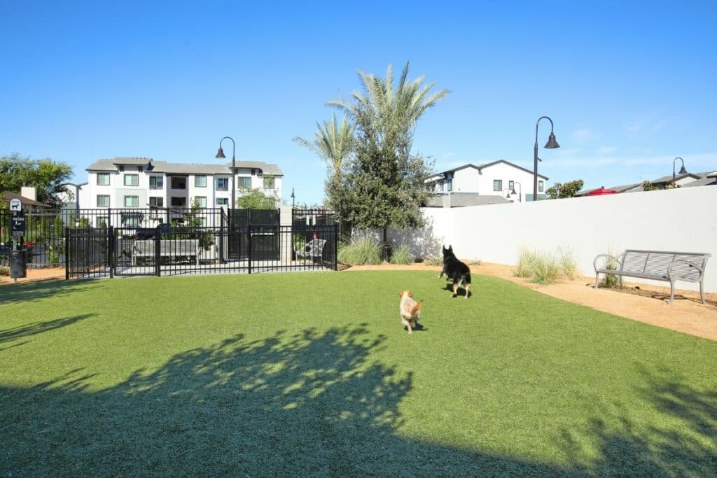 Large 4,000 sqft dog park for pet friendly West Sacramento apartments